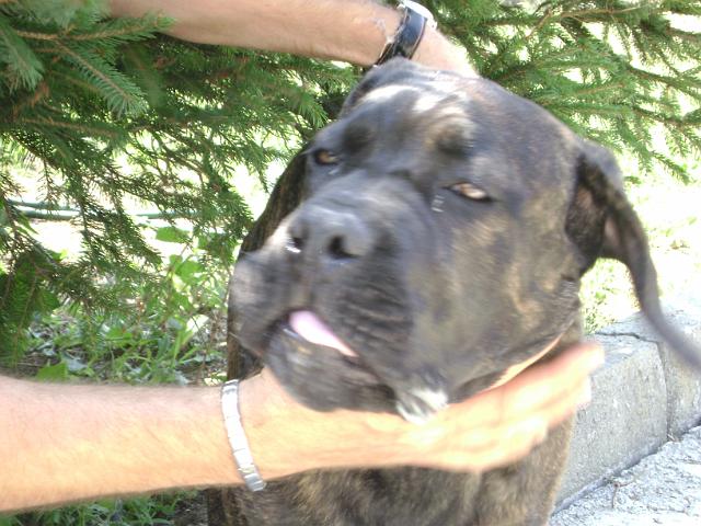 019.JPG