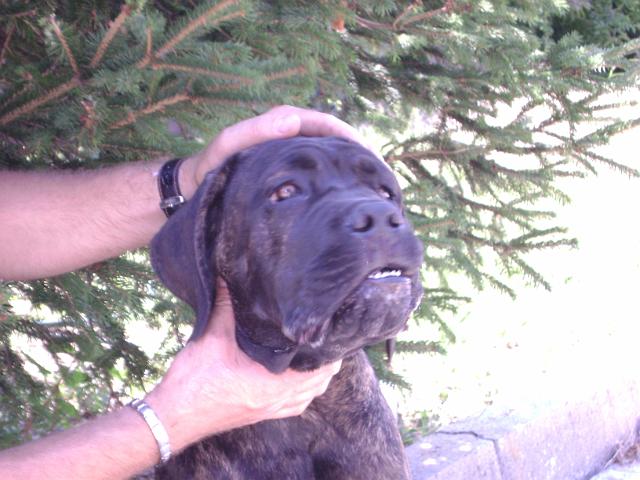 020.JPG