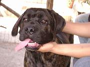 026